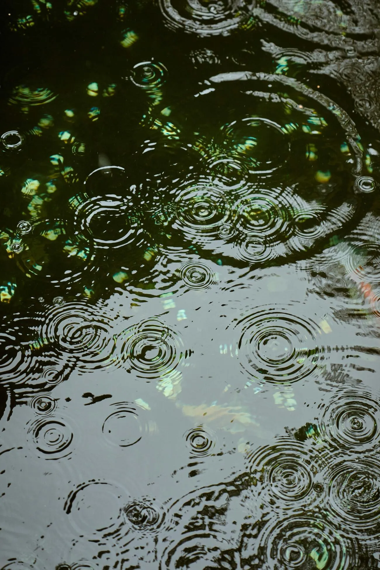 Rainy Day Activities for Kids