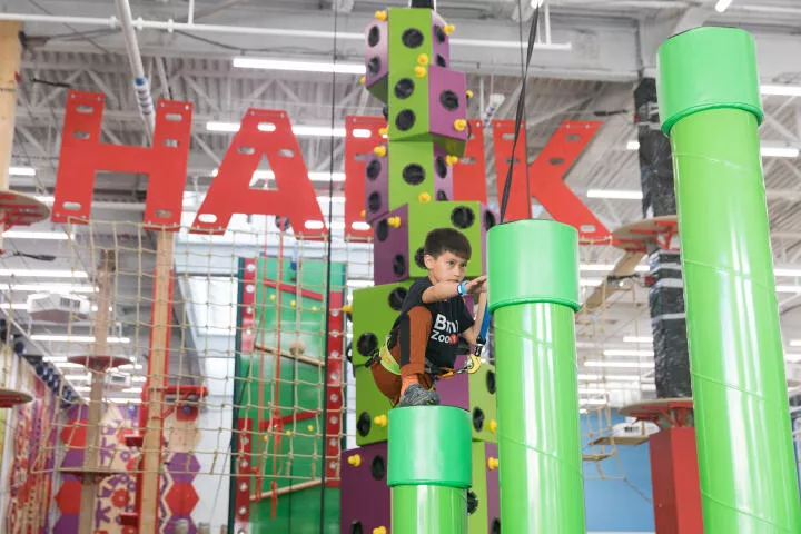 HAPIK's impact (Testimonial)