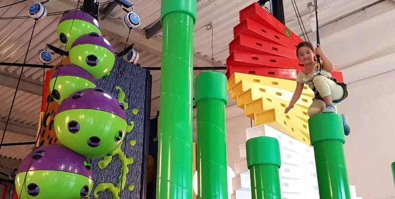 Open All Day For Veteran's Day